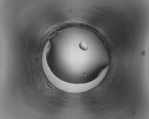 X0000114561110200911161217