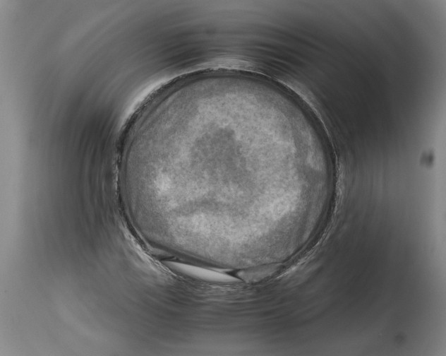 X0000114561115200911161217