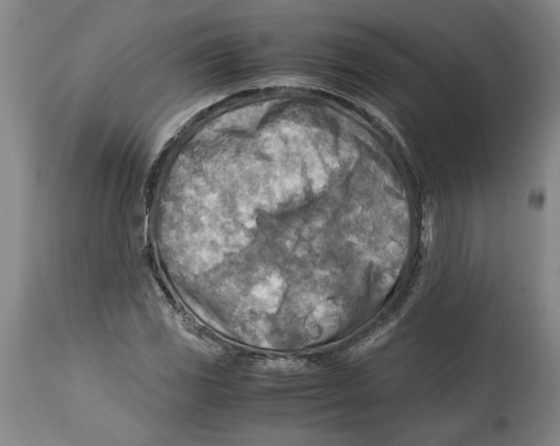 X0000114561117200911161217
