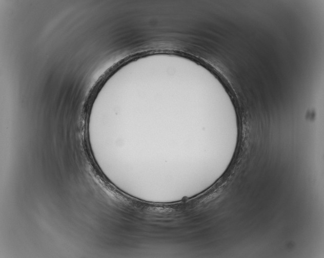 X0000114561119200911161217