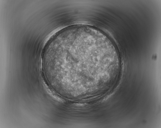 X0000114561125200911161217