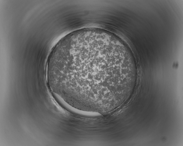 X0000114561127200911161217