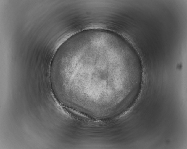 X0000114561129200911161217