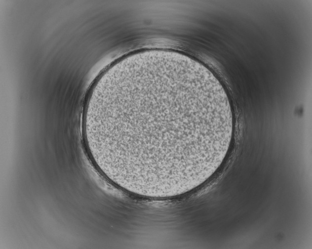 X0000114561130200911161217