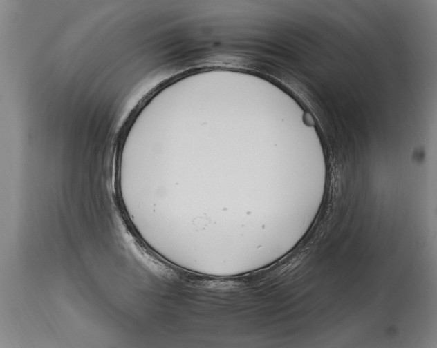 X0000114561131200911161217