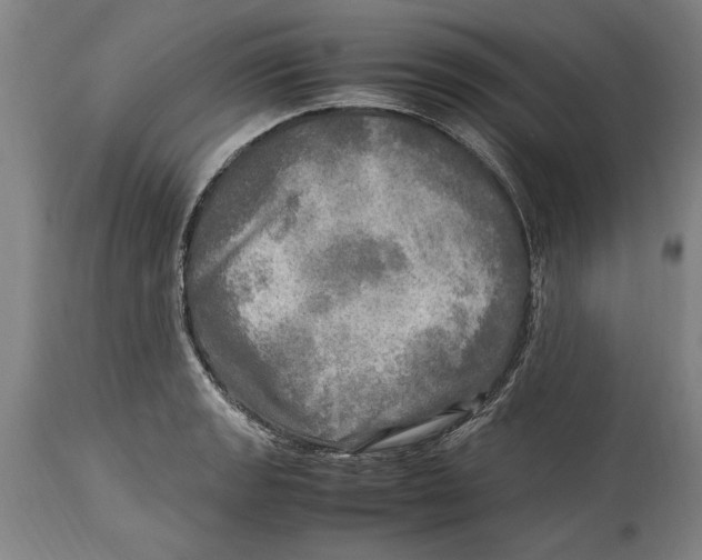 X0000114561133200911161217