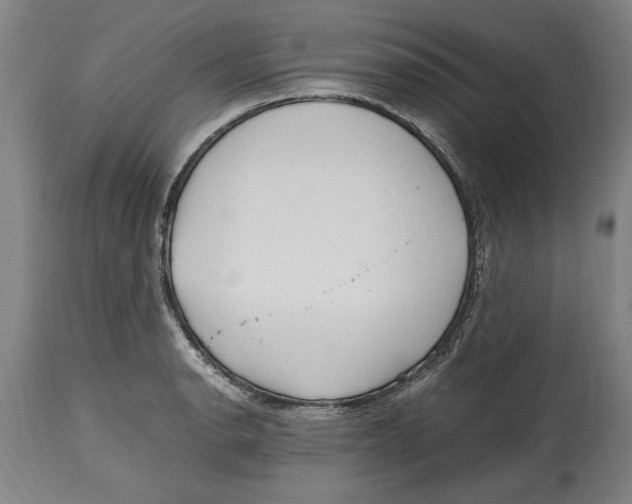 X0000114561134200911161217
