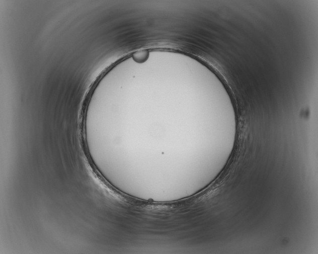 X0000114561135200911161217