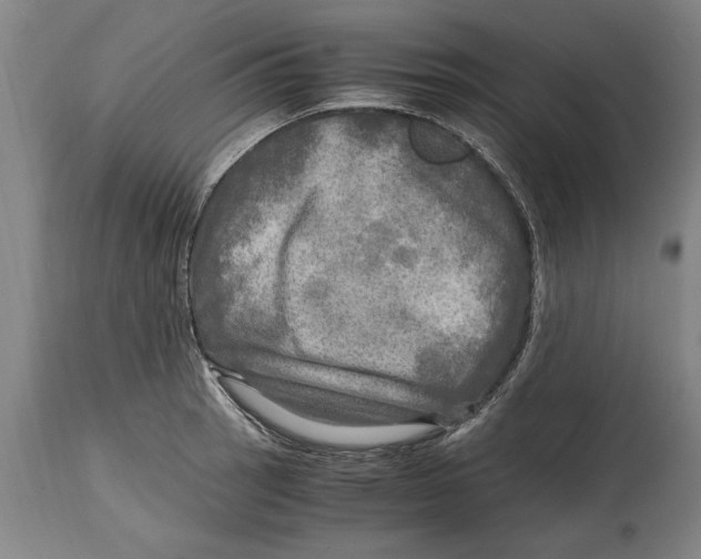 X0000114561137200911161217