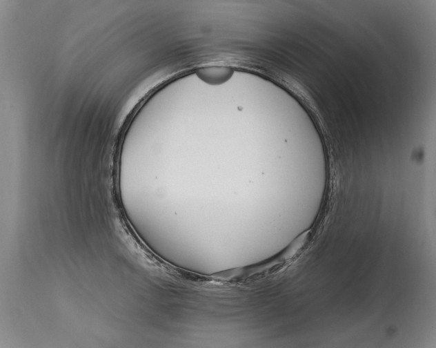 X0000114561138200911161217