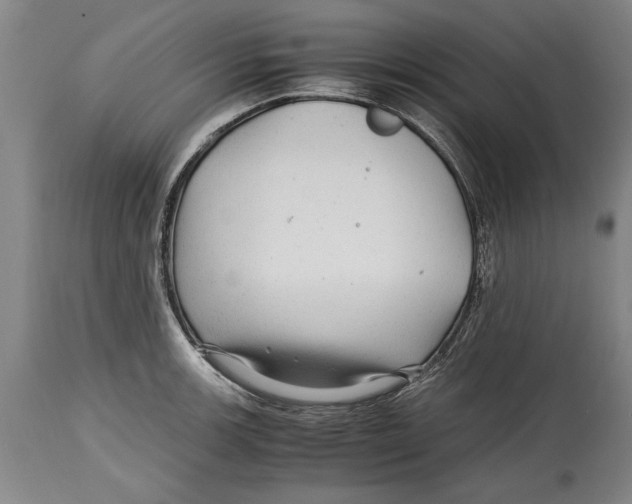 X0000114561139200911161217
