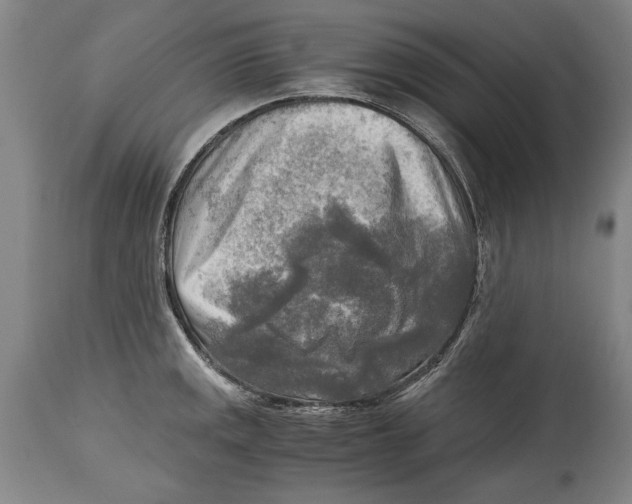 X0000114561141200911161217