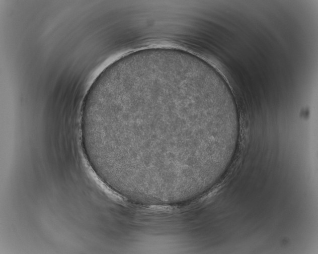 X0000114561142200911161217