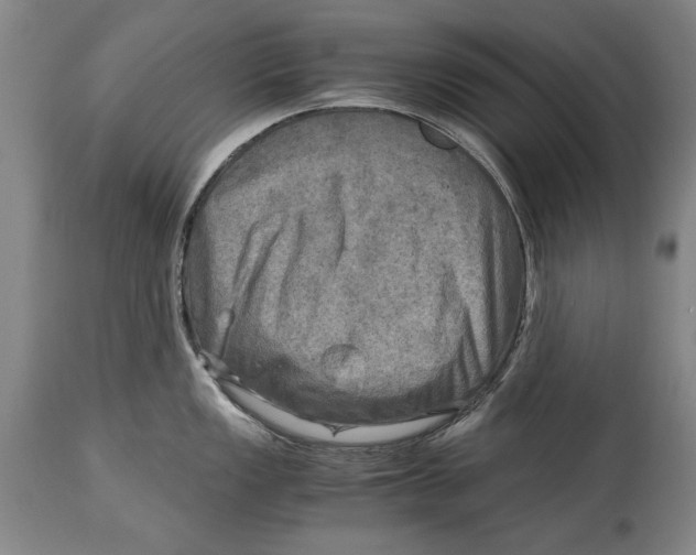 X0000114561149200911161218