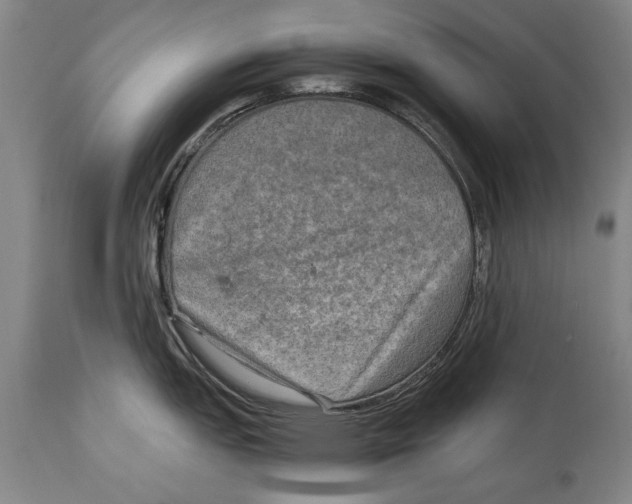 X0000114561151200911161218