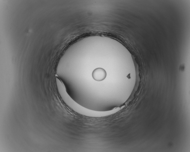 X0000114561153200911161217