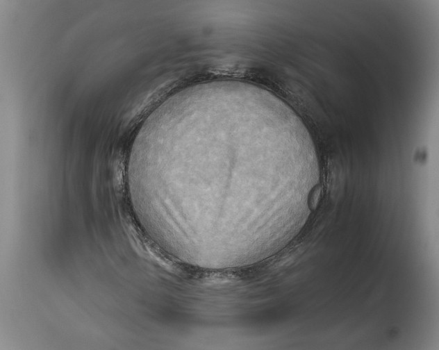 X0000114561154200911161217