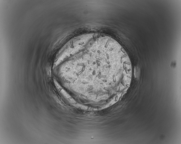 X0000114561155200911161217