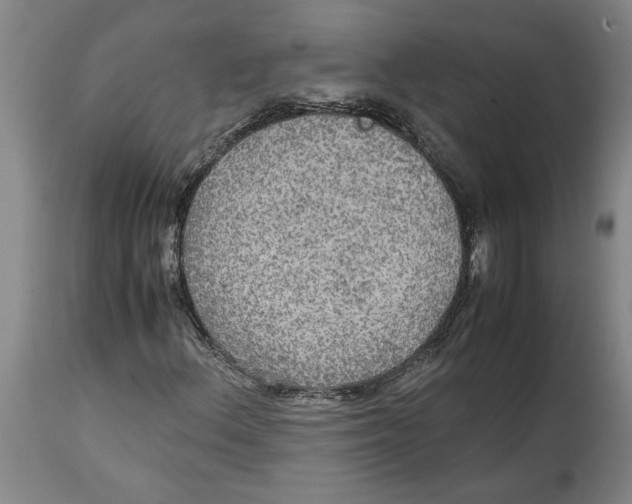 X0000114561156200911161217
