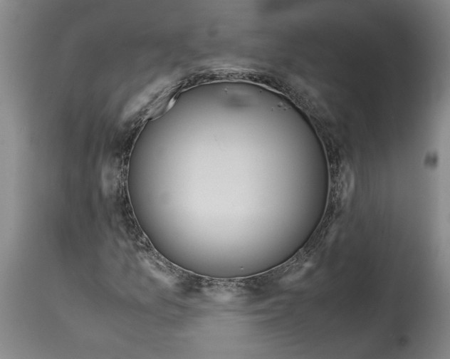 X0000114561157200911161217