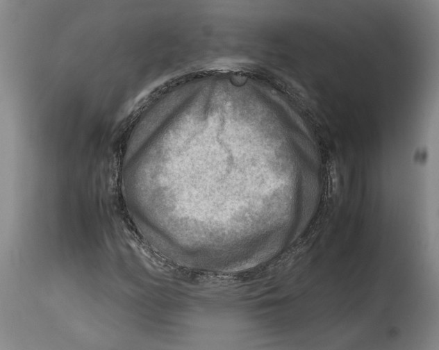 X0000114561158200911161217