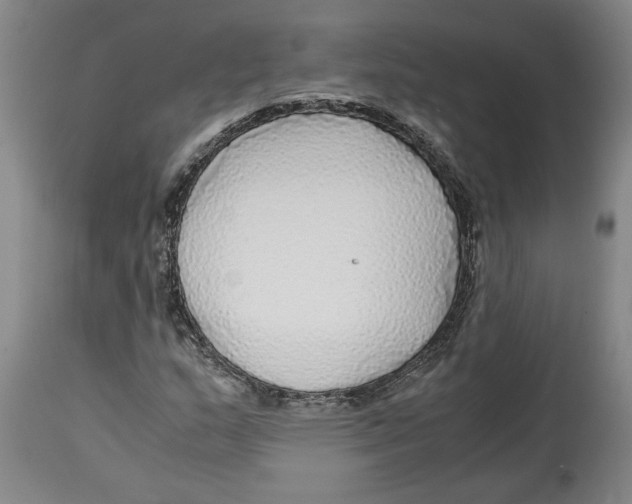 X0000114561159200911161217