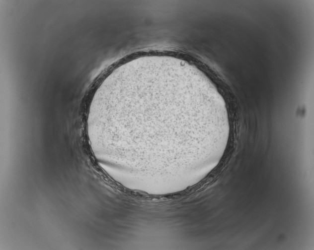 X0000114561160200911161217