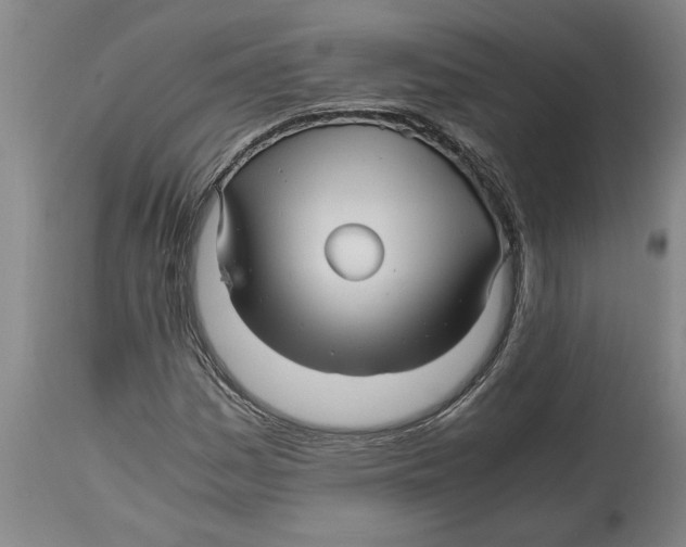X0000114561161200911161217
