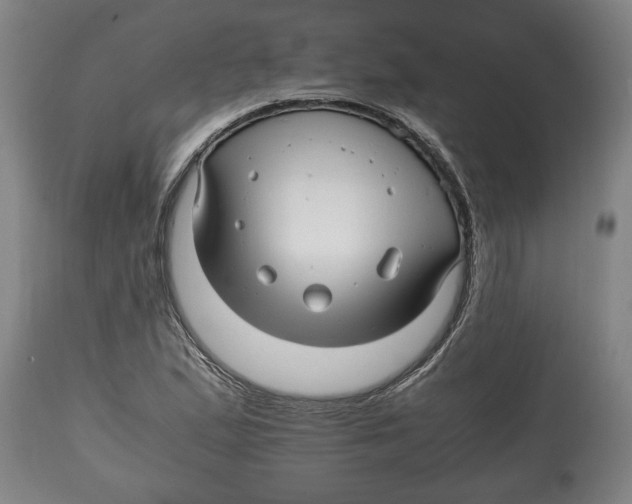 X0000114561167200911161217