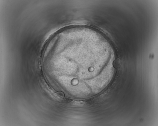 X0000114561168200911161217