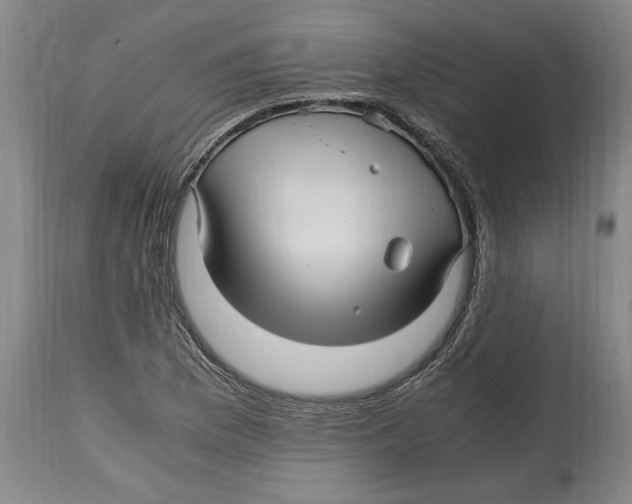 X0000114561169200911161217
