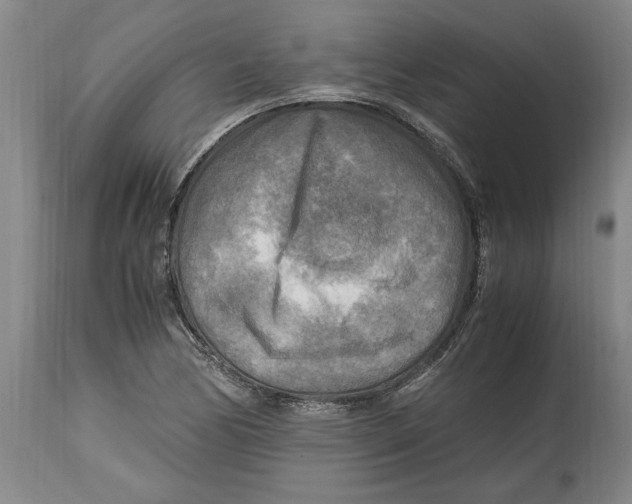 X0000114561170200911161217