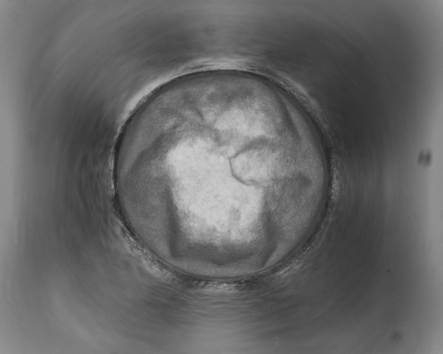 X0000114561174200911161216