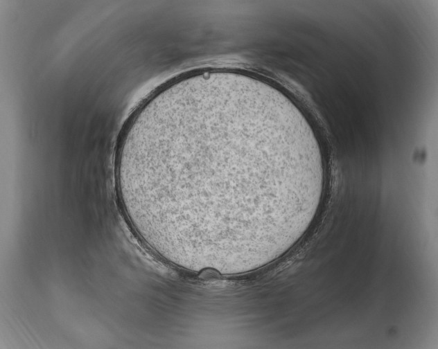 X0000114561176200911161216