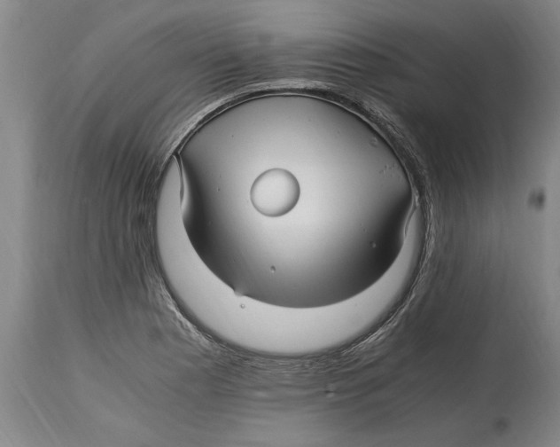 X0000114561177200911161216