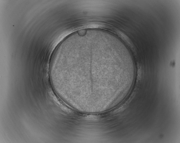 X0000114561178200911161216