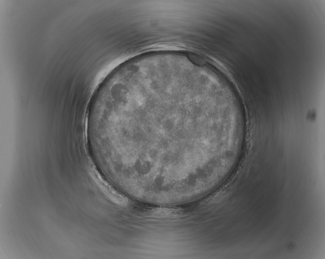 X0000114561179200911161216