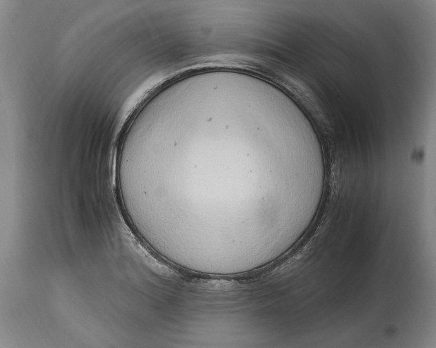 X0000114561180200911161216