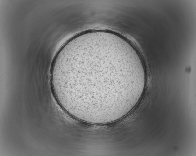 X0000114561183200911161216