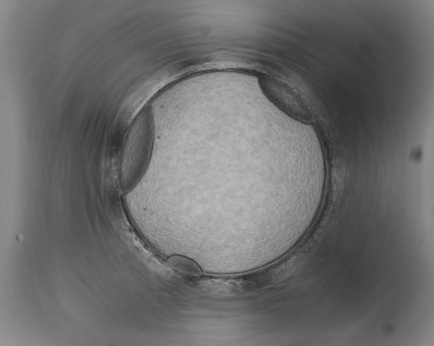 X0000114561185200911161216