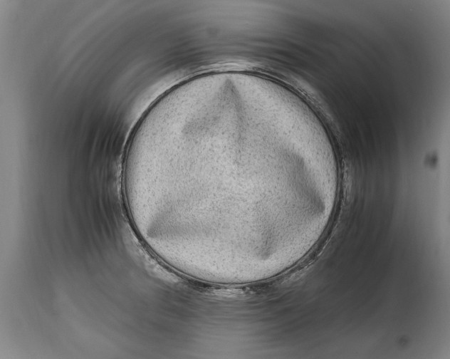 X0000114561186200911161216