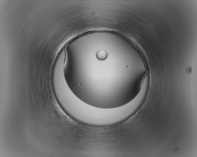 X0000114561189200911161216
