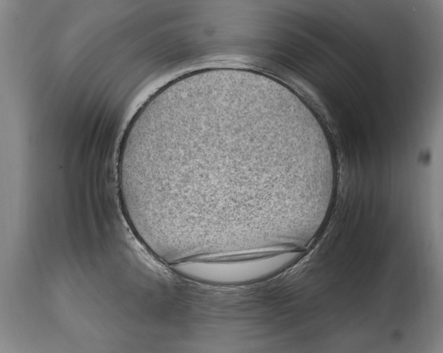 X0000114561192200911161216