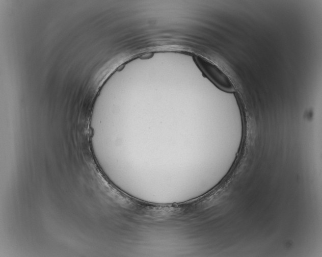 X0000114561193200911161216