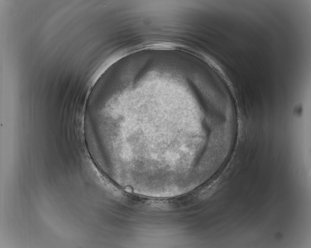 X0000114561194200911161216