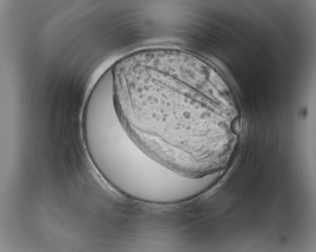 X0000114561196200911161216