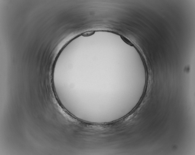 X0000114561197200911161216