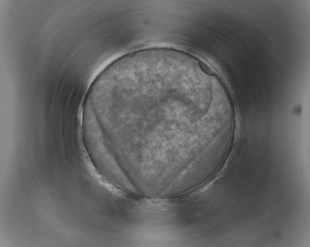 X0000114561198200911161216