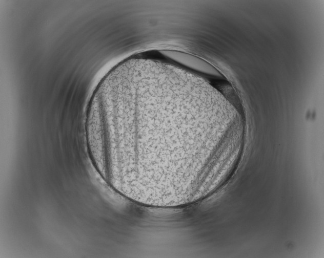 X0000114561200200911161216