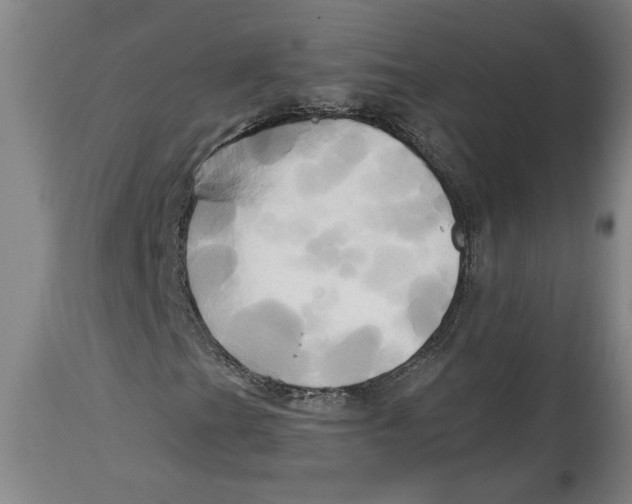 X0000114561201200911161215